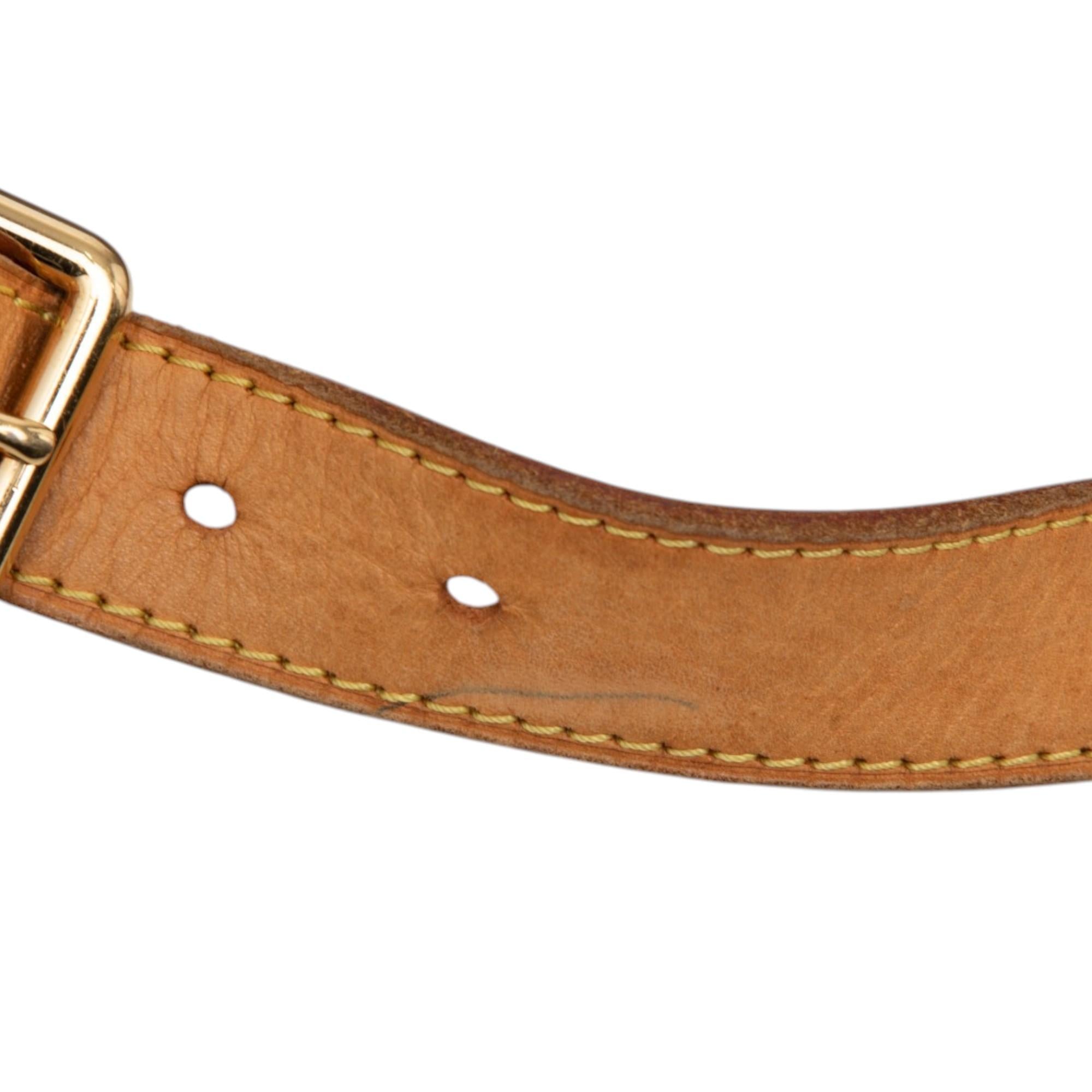Louis Vuitton Monogram Galliera PM