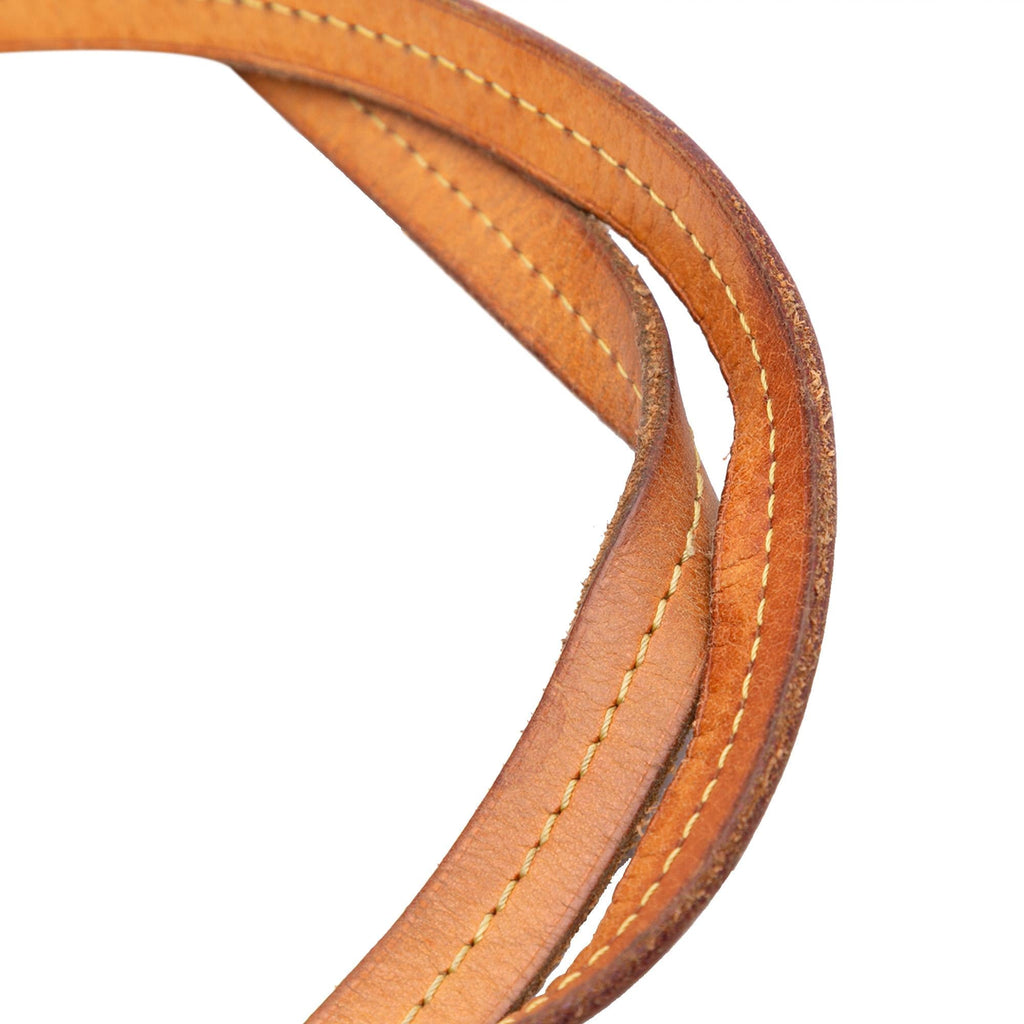 Louis Vuitton Monogram Iena MM