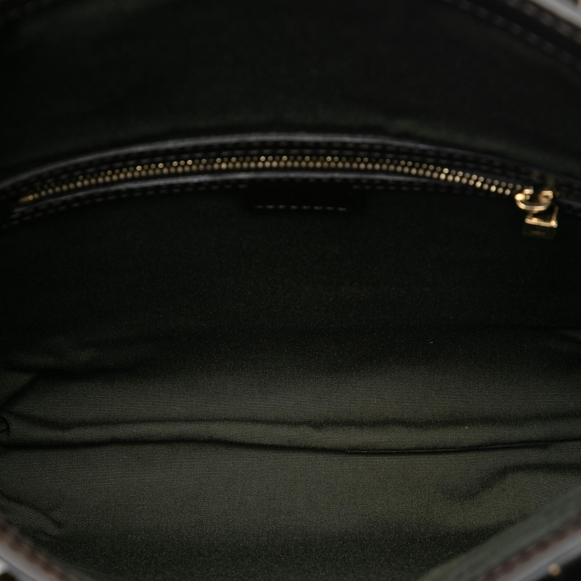 Louis Vuitton Monogram Mini Lin Francoise