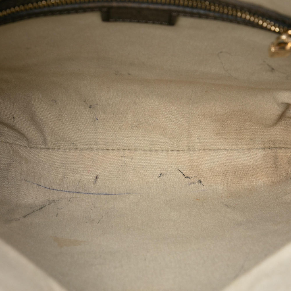 Louis Vuitton Monogram Mini Lin Francoise