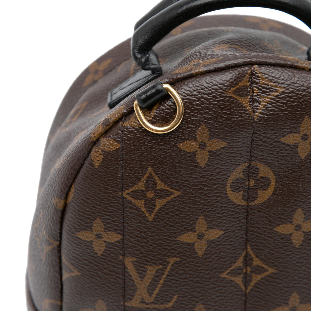 Louis Vuitton Monogram Mini Palm Springs