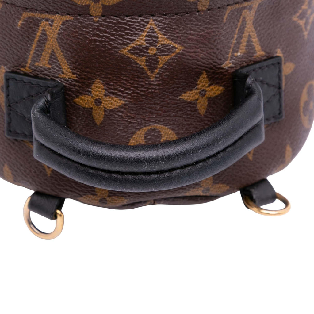 Louis Vuitton Monogram Mini Palm Springs