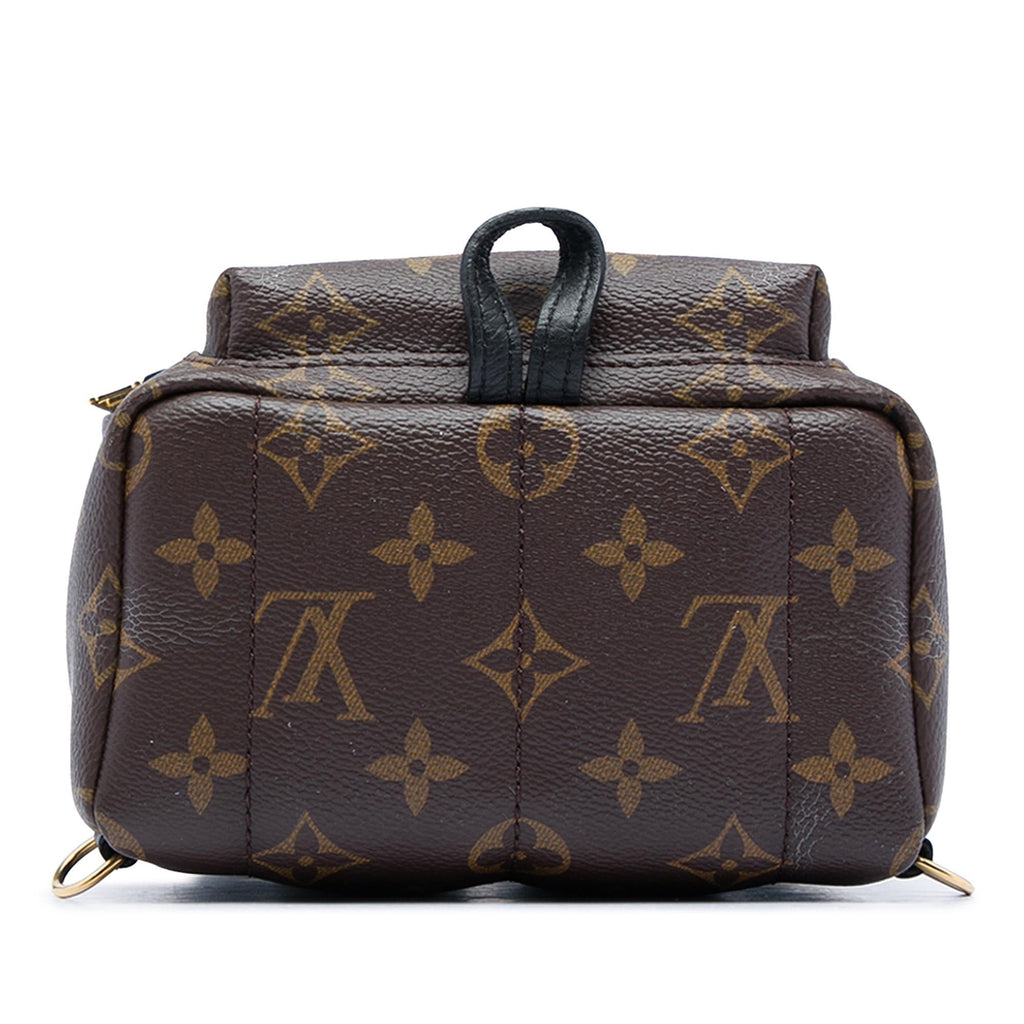 Louis Vuitton Monogram Mini Palm Springs