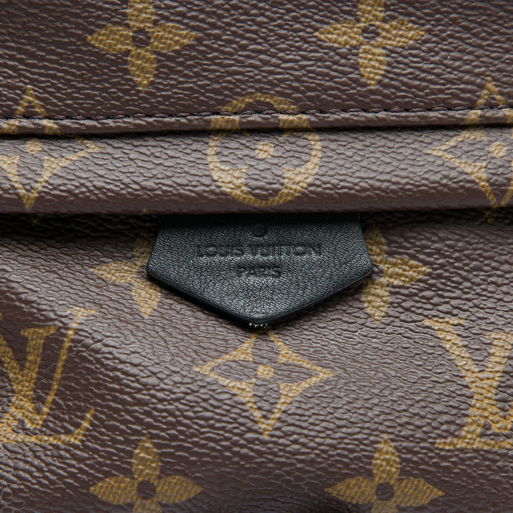 Louis Vuitton Monogram Mini Palm Springs