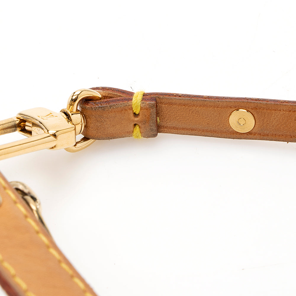 Louis Vuitton Monogram Multicolore Pochette Accessoires (SHF-19985)