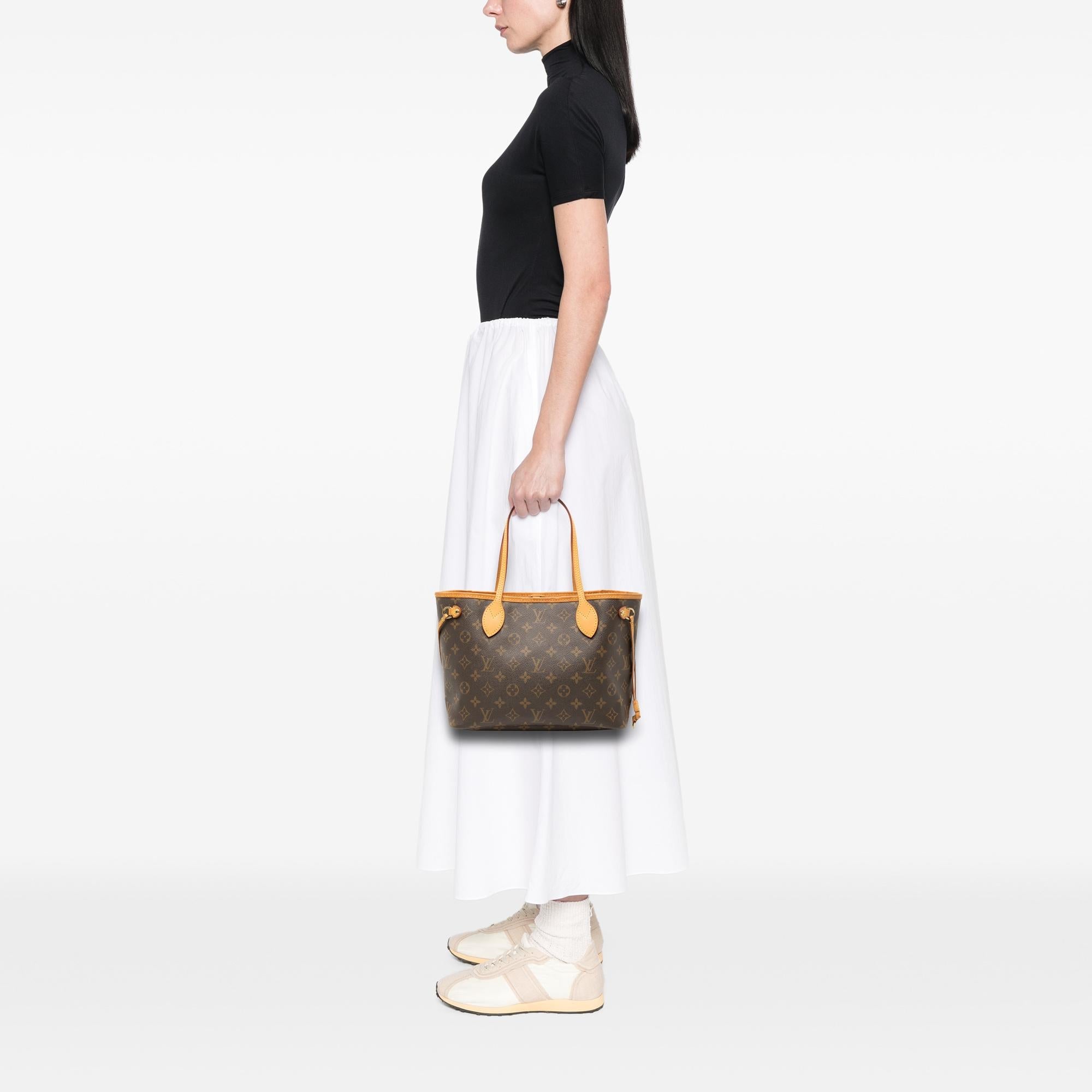 Louis Vuitton Monogram Neverfull PM