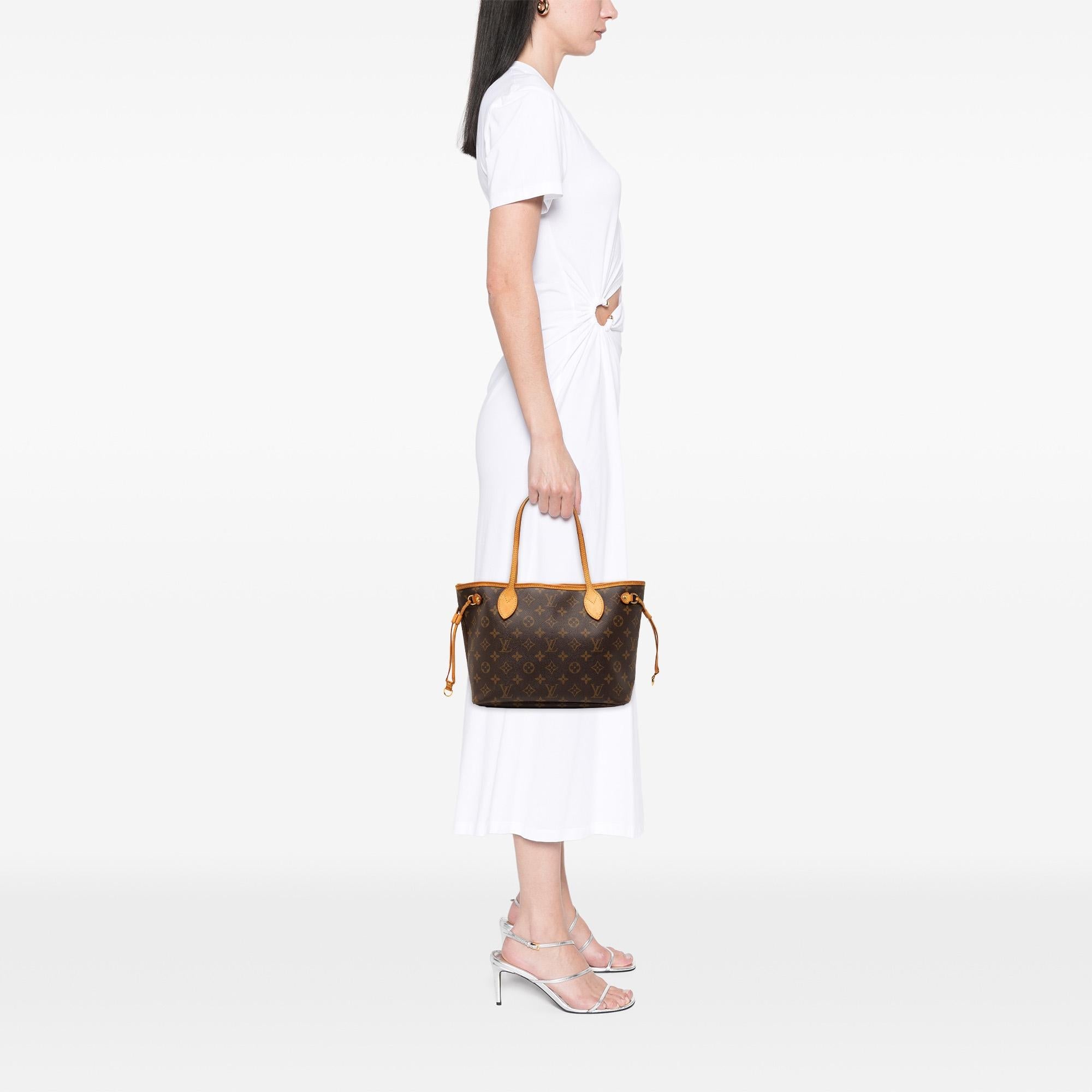 Louis Vuitton Monogram Neverfull PM