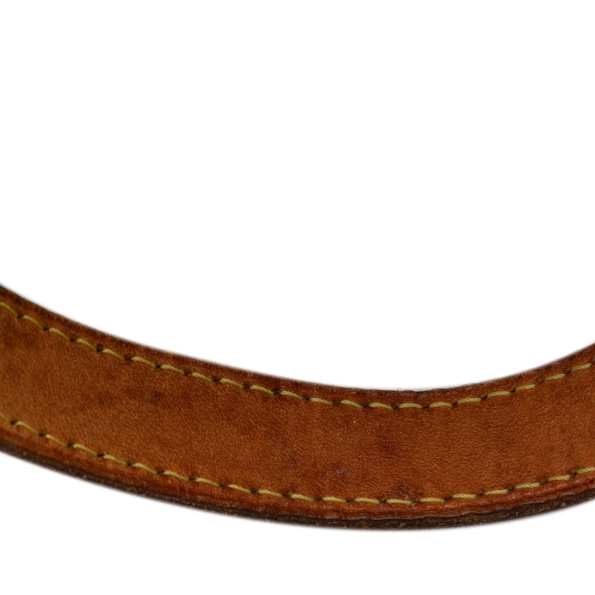 Louis Vuitton Monogram Palermo PM (SHG-wy1E0x)