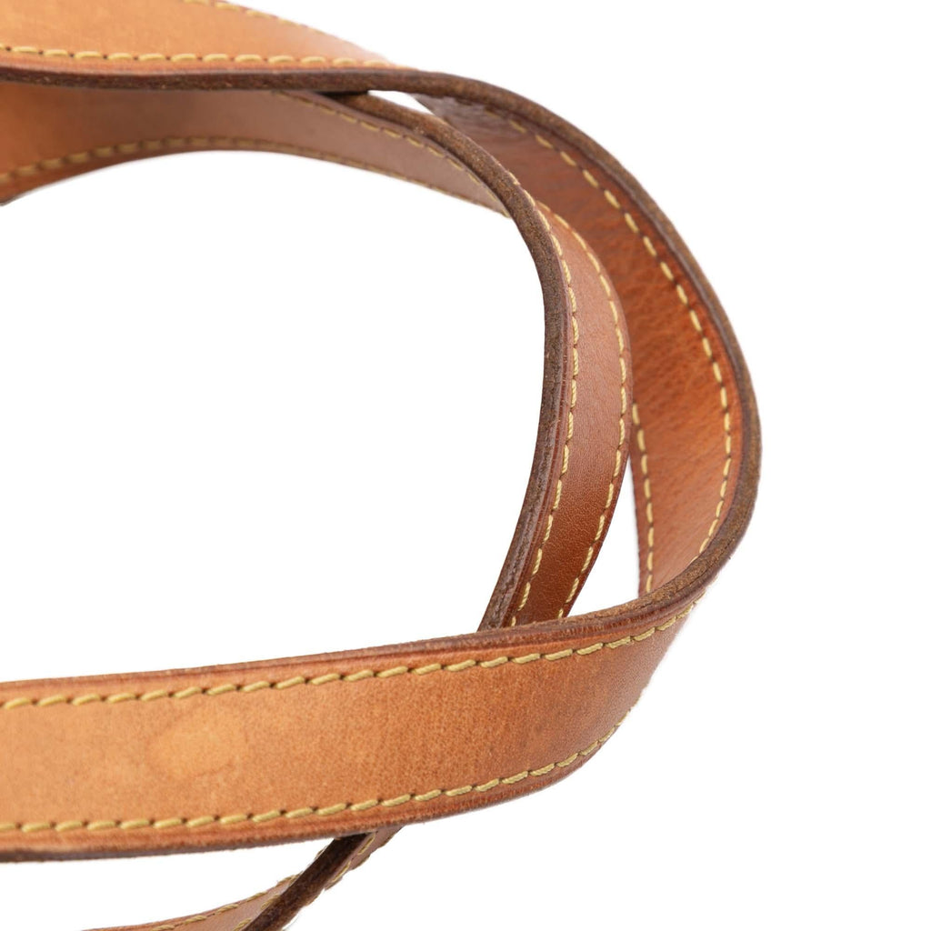 Louis Vuitton Monogram Palermo PM