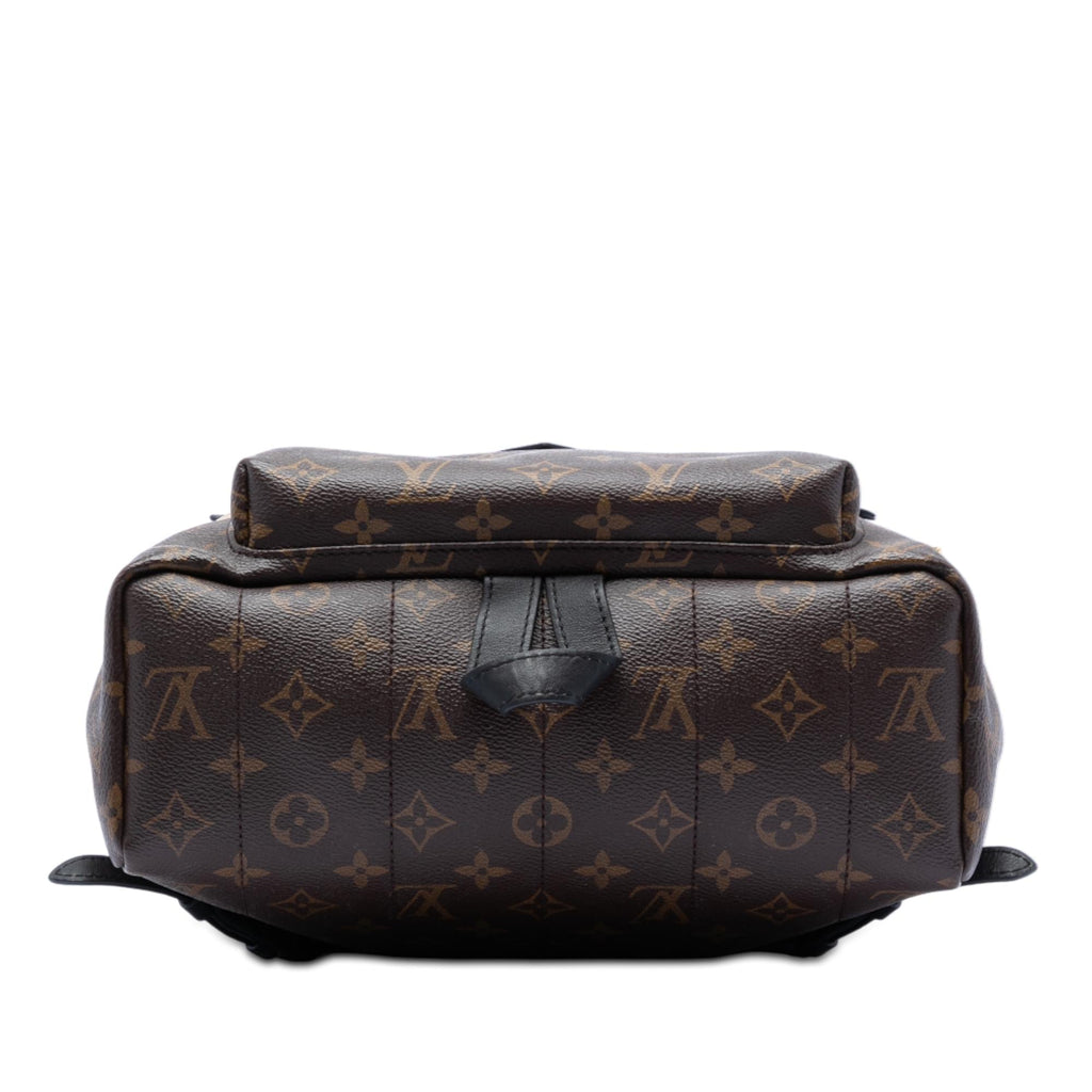 Louis Vuitton Monogram Palm Springs MM