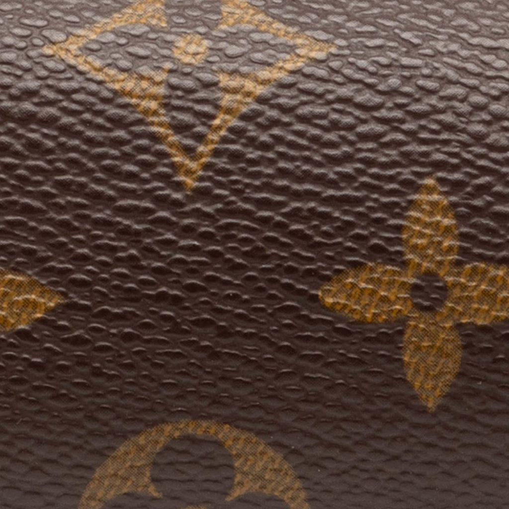 Louis Vuitton Monogram Papillon Pochette