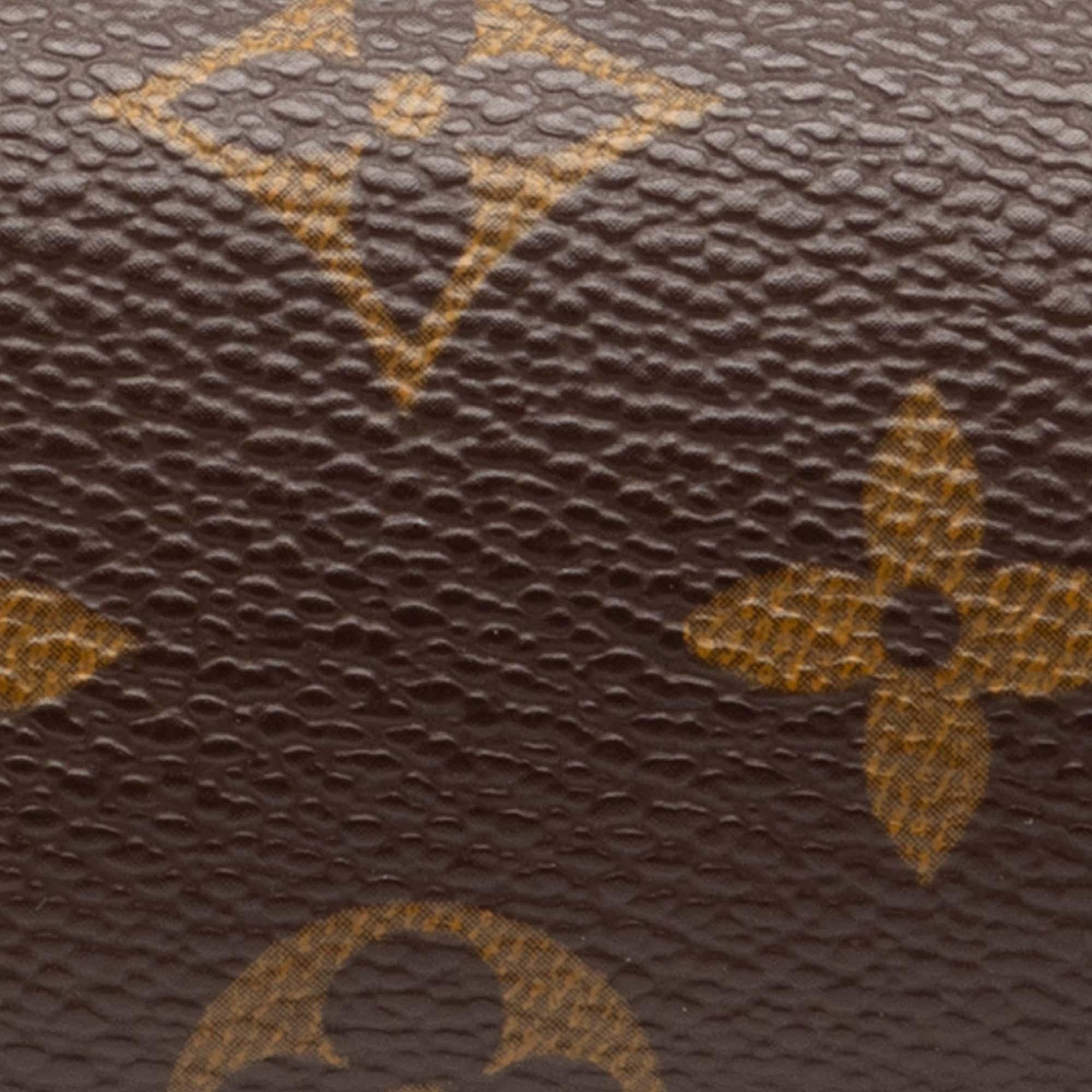 Louis Vuitton Monogram Papillon Pochette