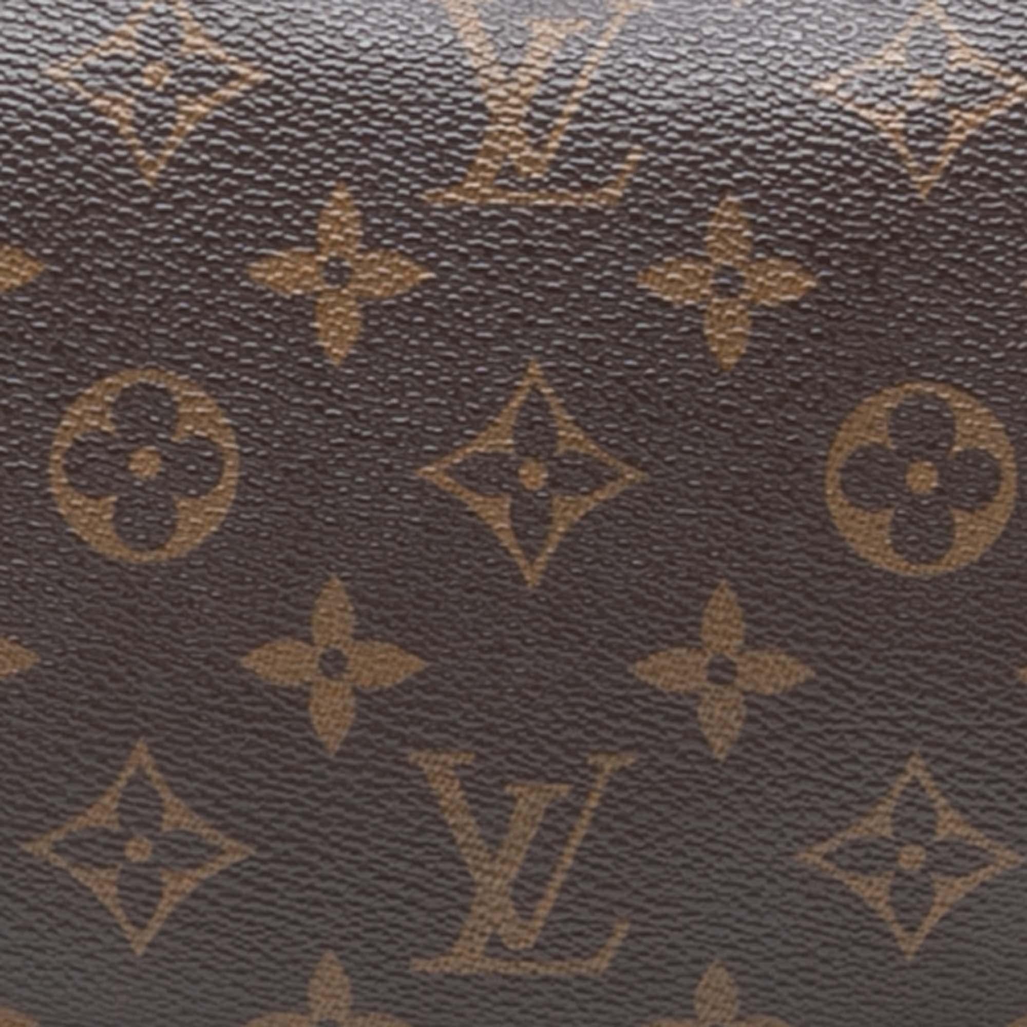 Louis Vuitton Monogram Pochette Accessoires