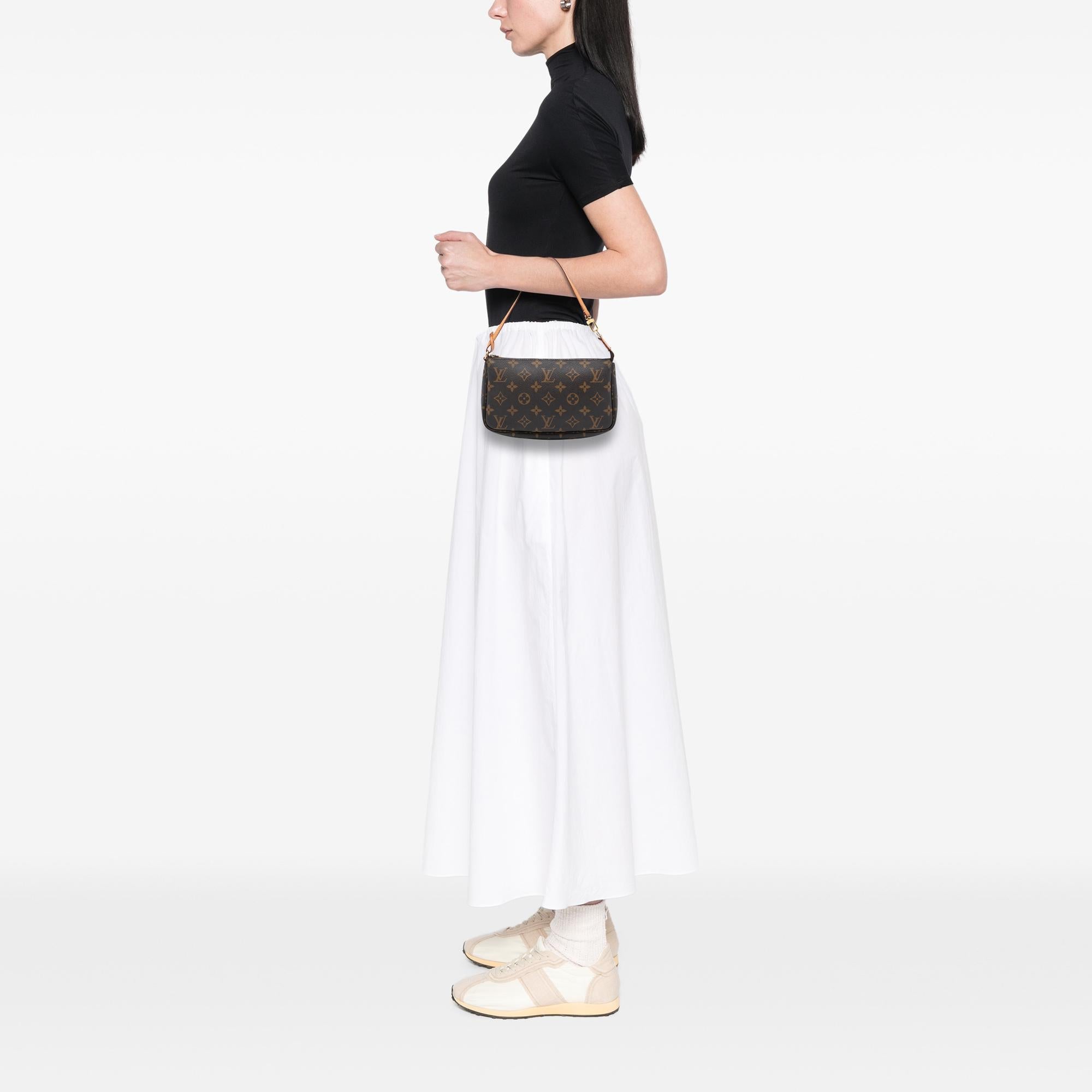 Louis Vuitton Monogram Pochette Accessoires