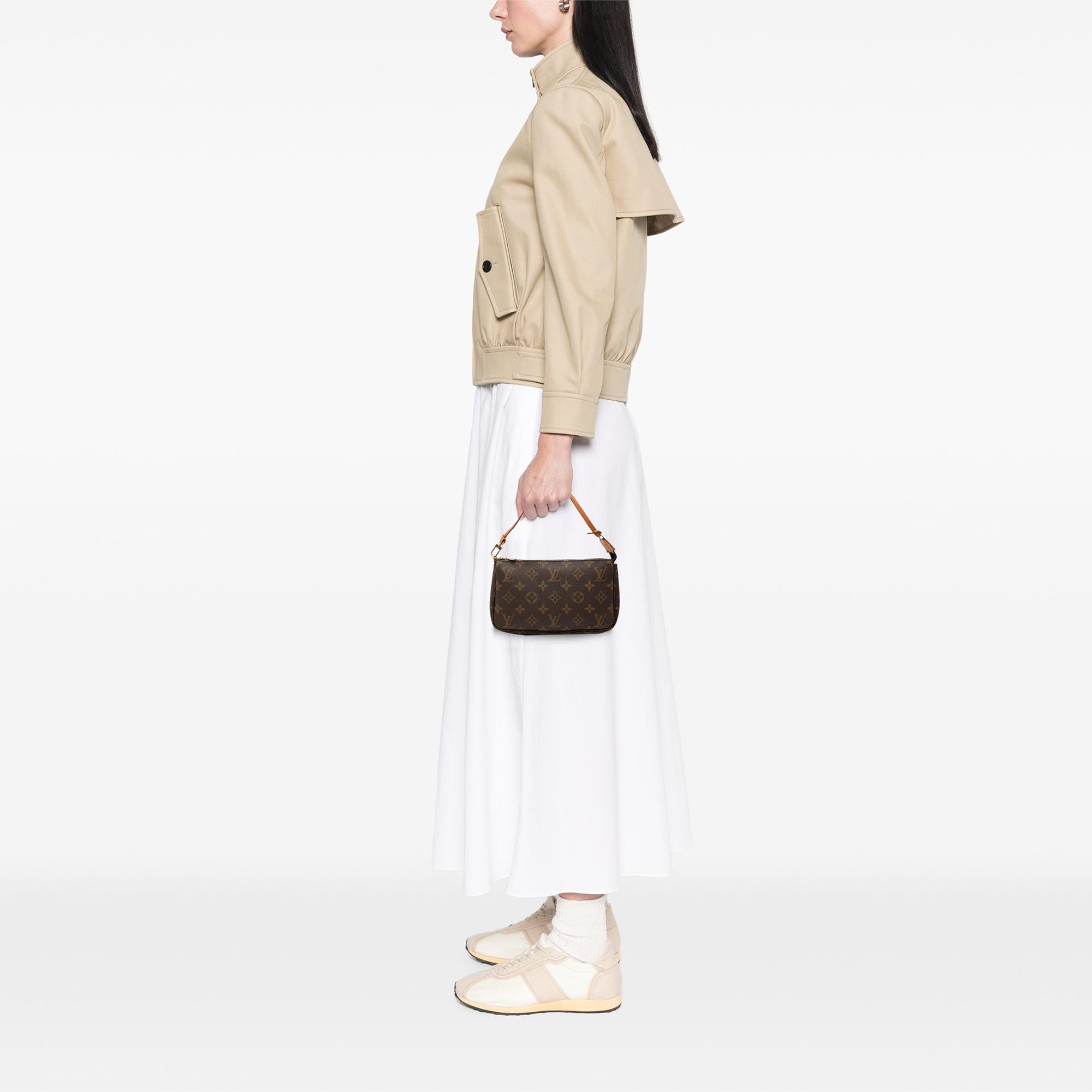 Louis Vuitton Monogram Pochette Accessoires