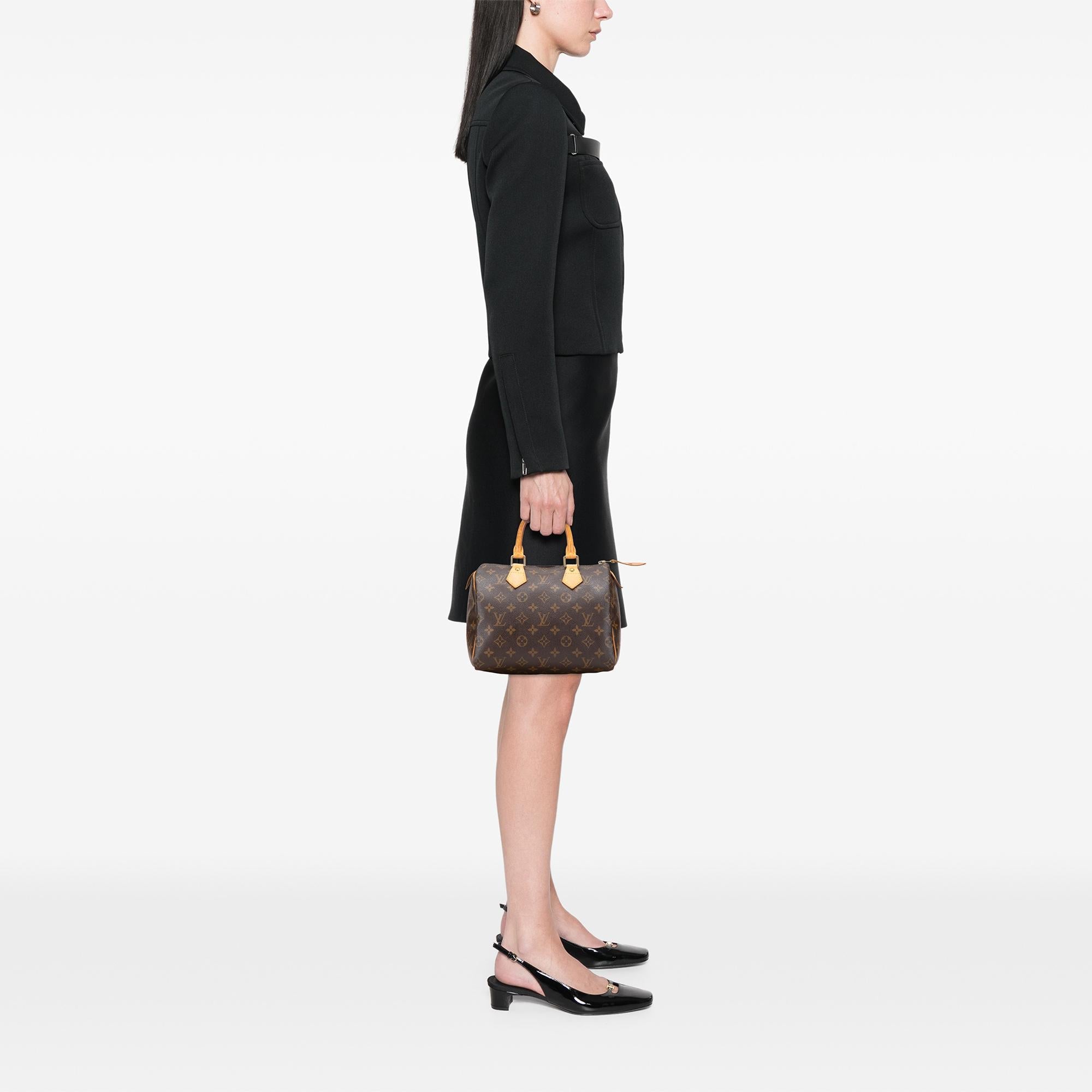 Louis Vuitton Monogram Speedy 25