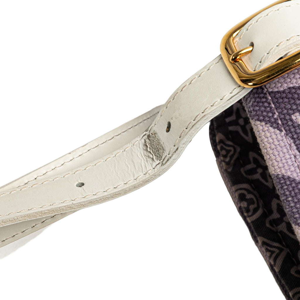Louis Vuitton Monogram Tahitienne Cabas PM