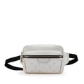 Louis Vuitton Monogram Taigarama Outdoor Bumbag