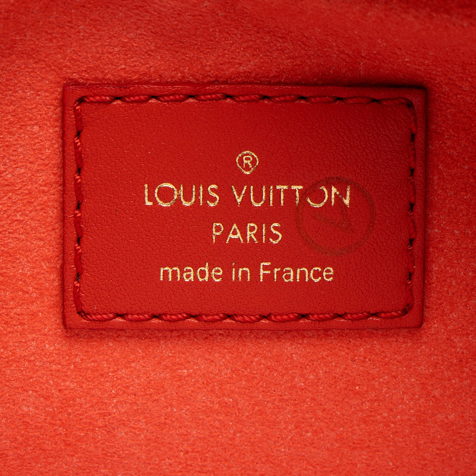 Louis Vuitton Nanogram Embossed Loop Shoulder Bag