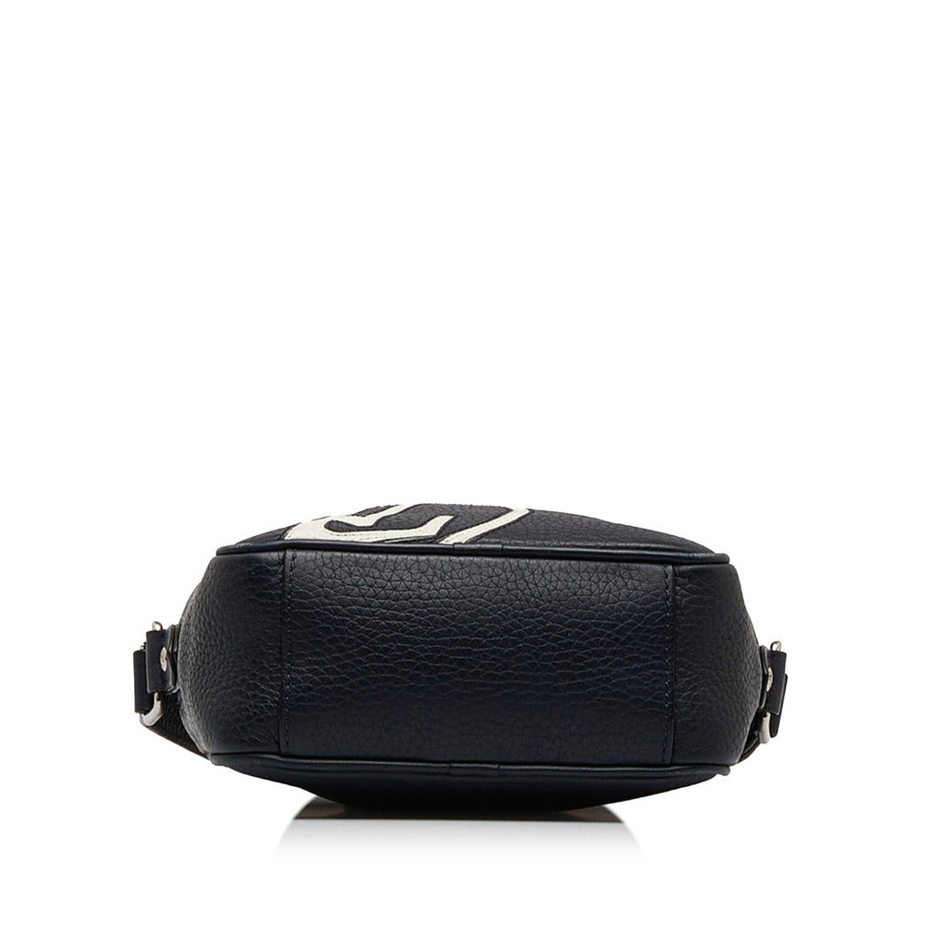 Louis Vuitton Taurillon Danube LV Circle  PM
