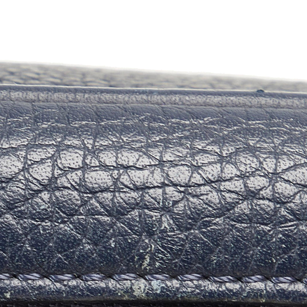 Louis Vuitton Taurillon Danube LV Circle  PM