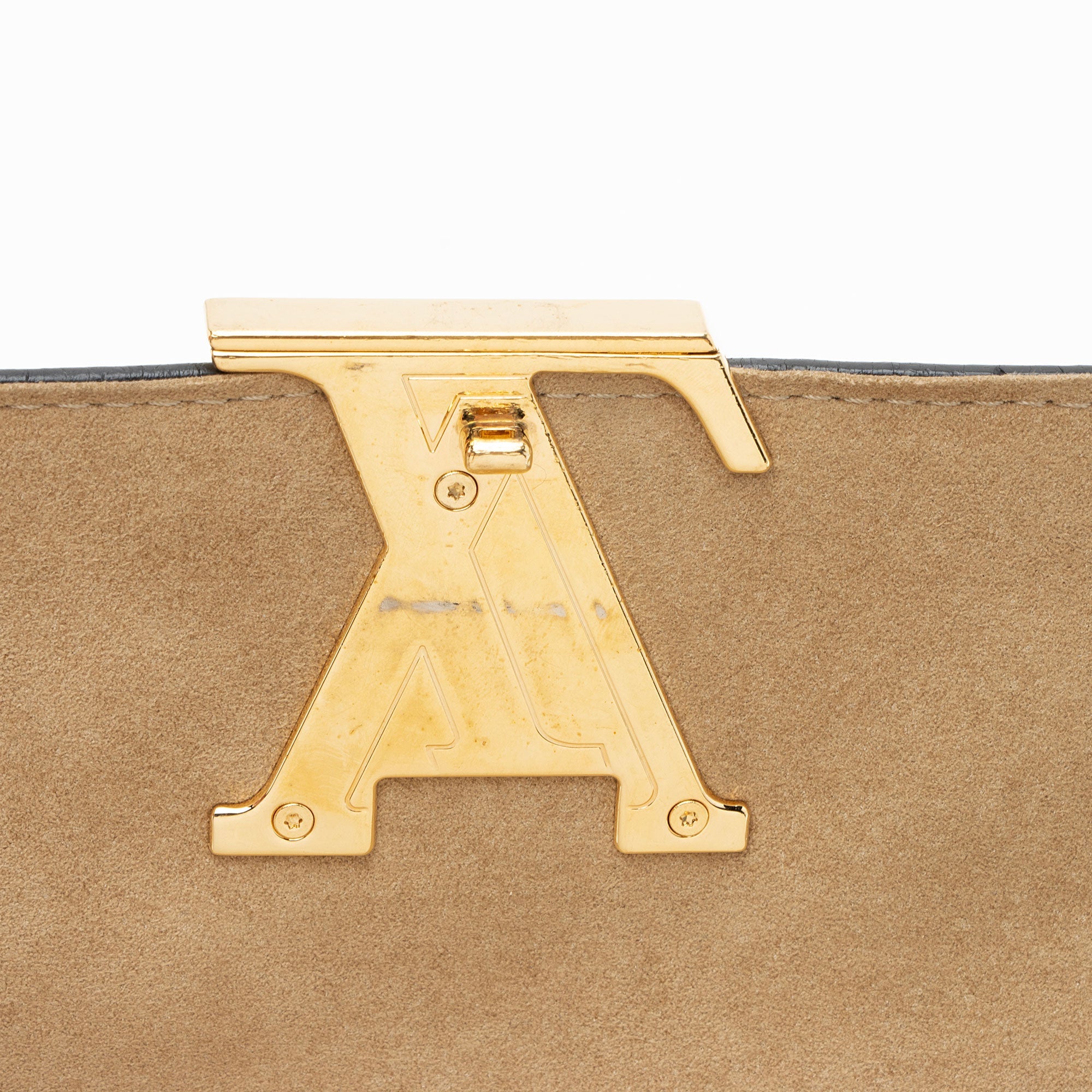 Louis Vuitton Taurillon Volta Top Handle