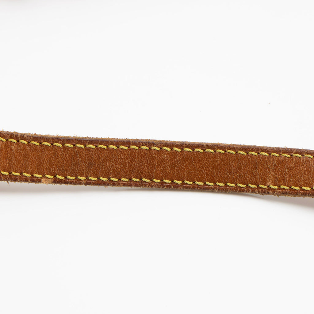 Louis Vuitton Vintage Monogram Canvas 90th Anniversary Danube Shoulder Bag (SHF-lb7Mad)