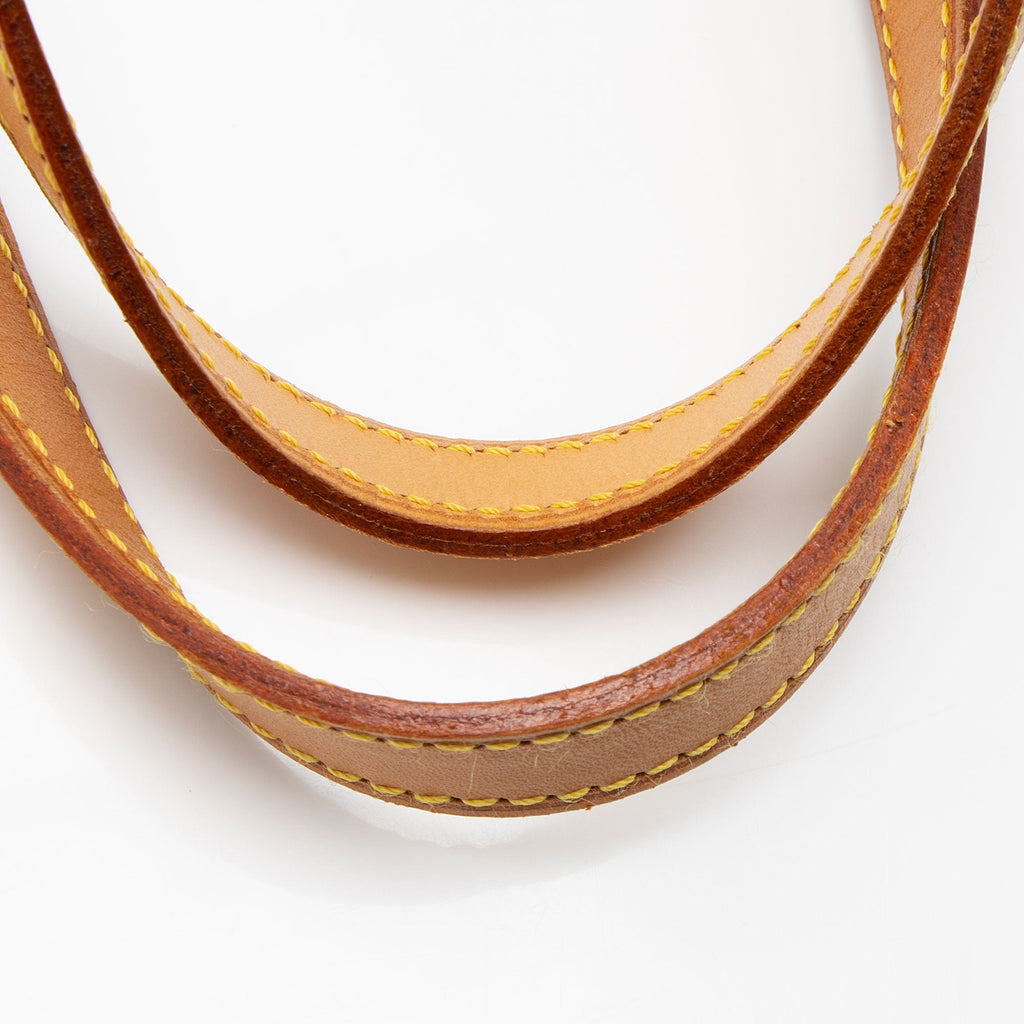 Louis Vuitton Vintage Monogram Canvas Petit Bucket Tote
