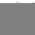 Prada Brushed Leather Cleo Shoulder Bag