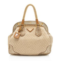 Prada Jute Metallic Python Framed Satchel