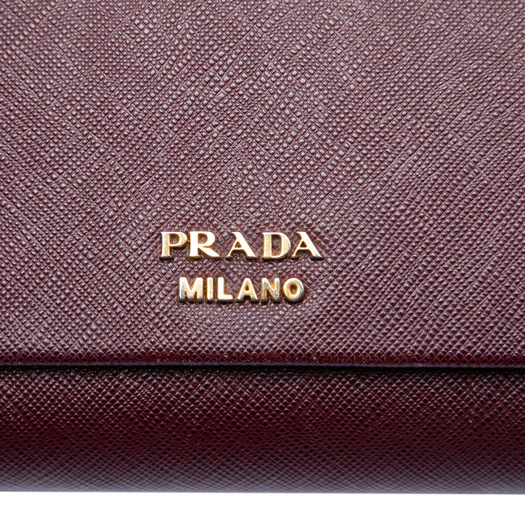 Prada Saffiano and City Calf Bibliotheque Clutch with Chain
