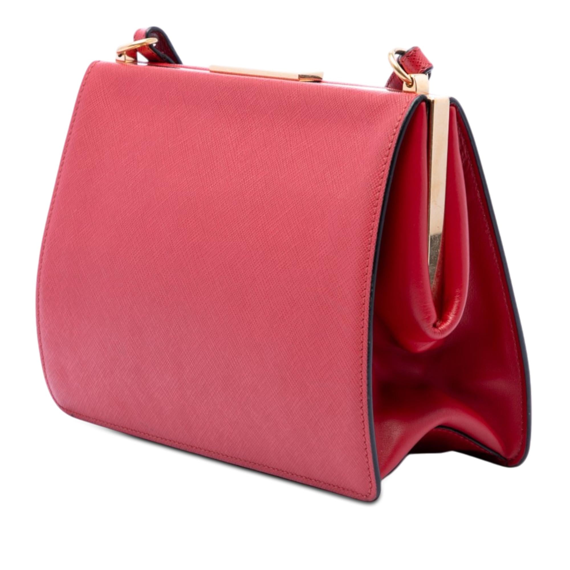 Prada Saffiano and City Calf Light Frame Crossbody
