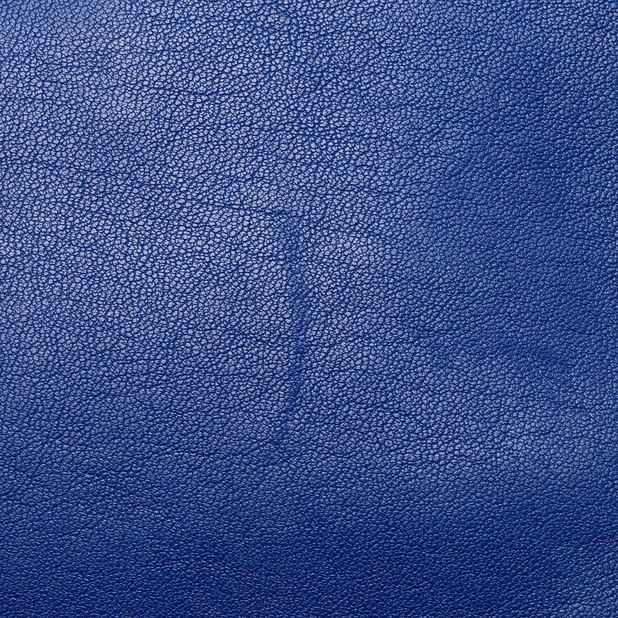 Saint Laurent Calfskin Monogram Lou Camera Bag