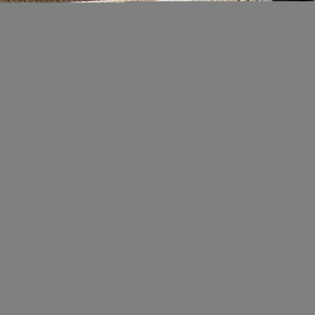 Saint Laurent Canvas Calfskin Rive Gauche Small Tote
