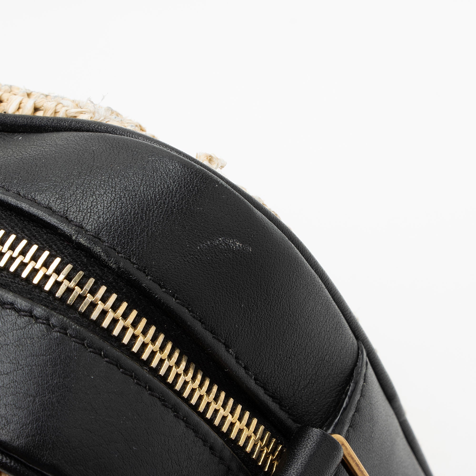Saint Laurent Raffia Calfskin Monogram Lou Camera Bag