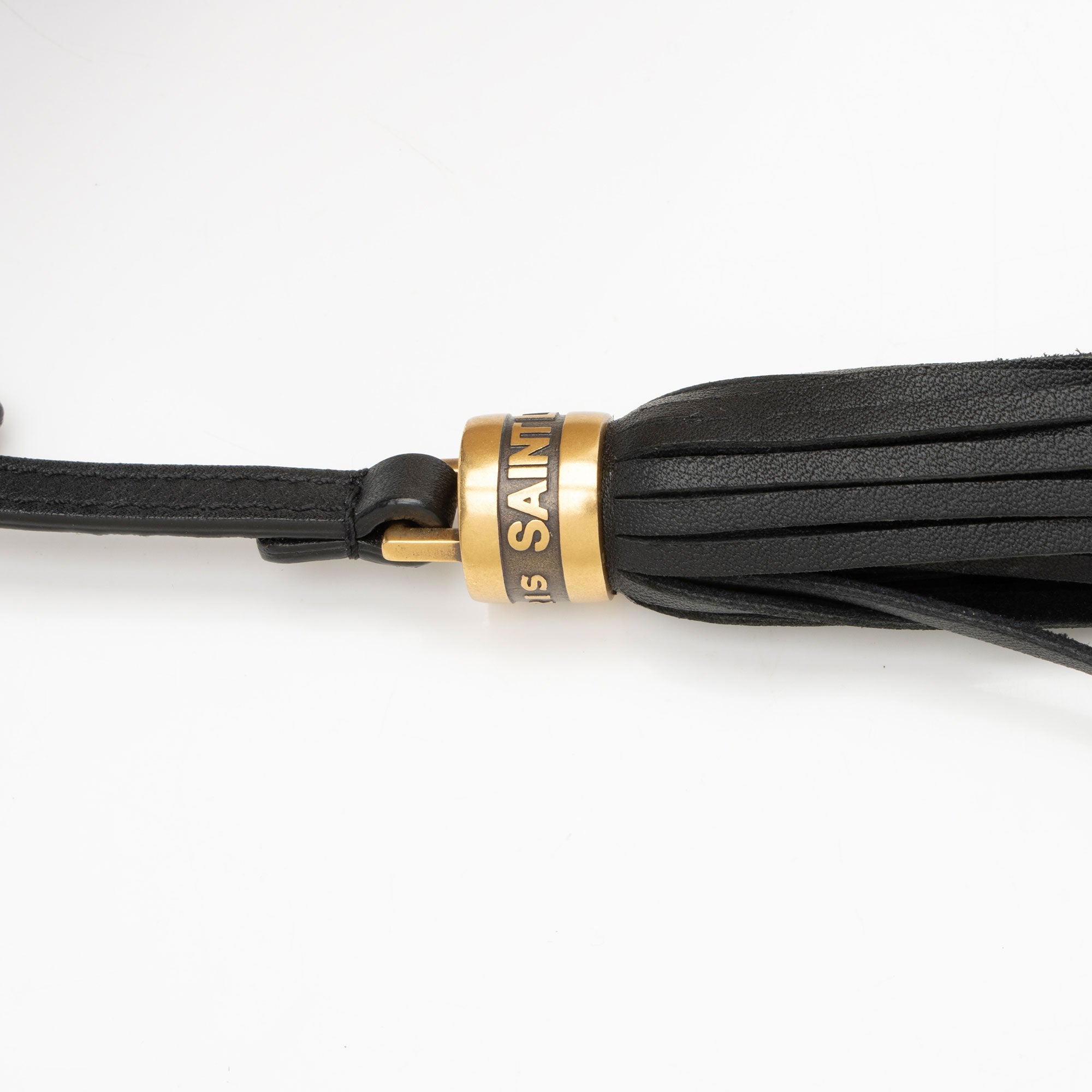 Saint Laurent Raffia Calfskin Monogram Lou Camera Bag