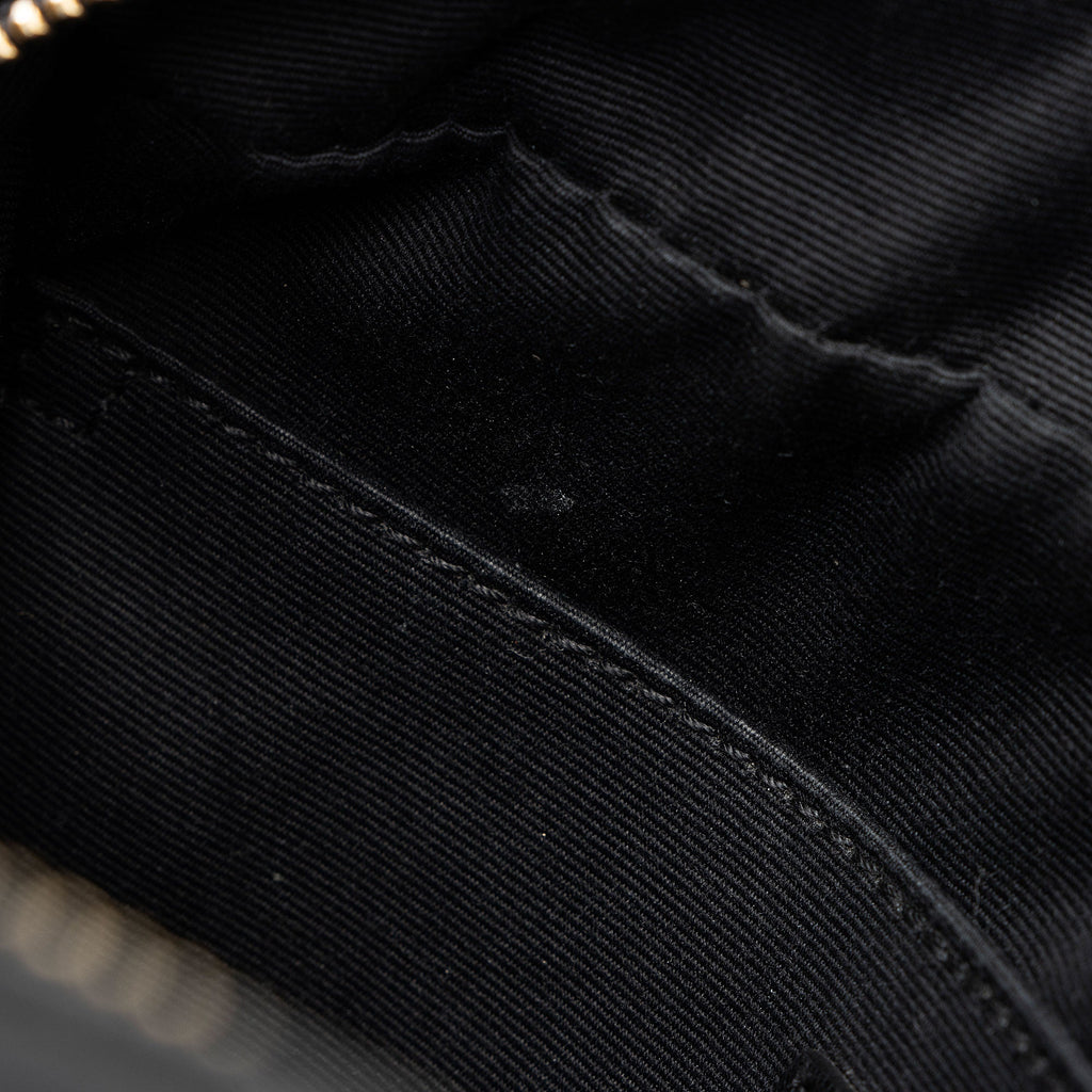 Saint Laurent Raffia Calfskin Monogram Lou Camera Bag