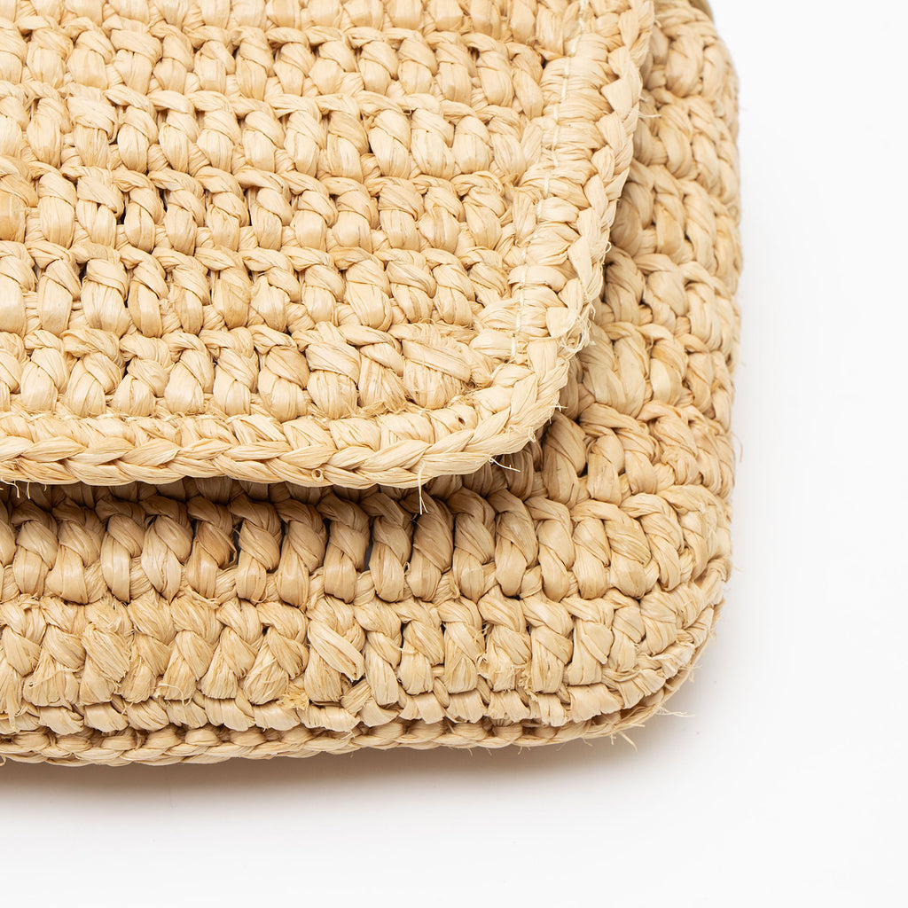 Saint Laurent Raffia Monogram Icare Pouch