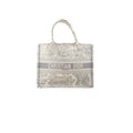 Dior Medium Book Tote Gray
