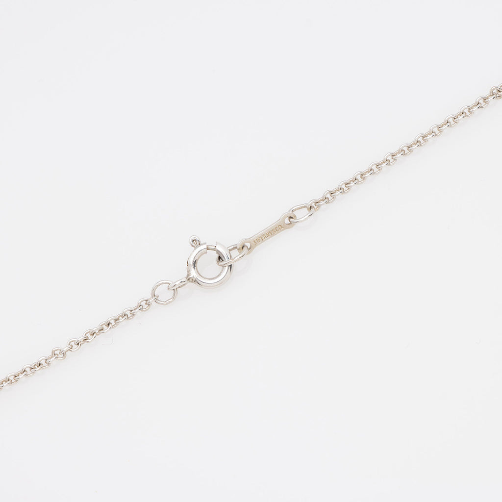 Tiffany & Co. Elsa Peretti Sterling Silver Apple Necklace