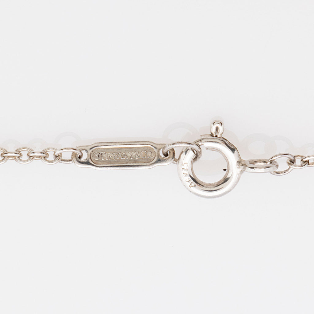 Tiffany & Co. Sterling Silver 1837 Circle Necklace