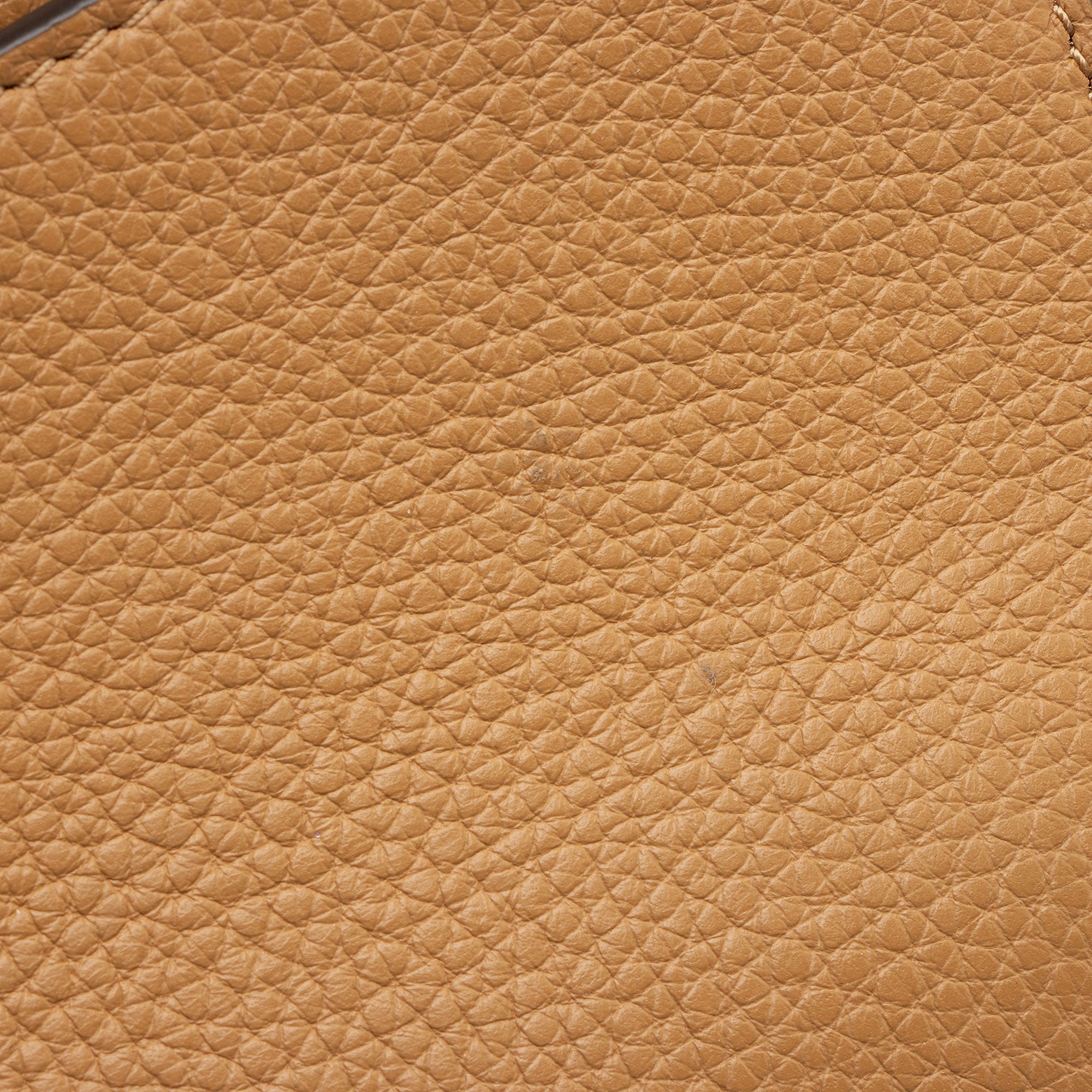 Tory Burch Leather Britten Wallet on Chain