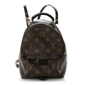 Monogram Palm Springs Backpack Mini