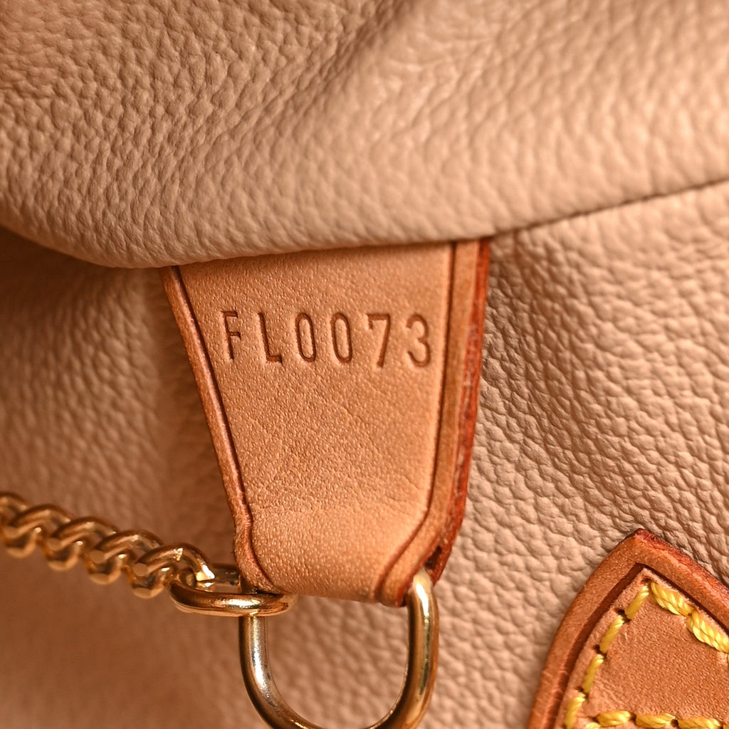 Monogram Petit Bucket 23