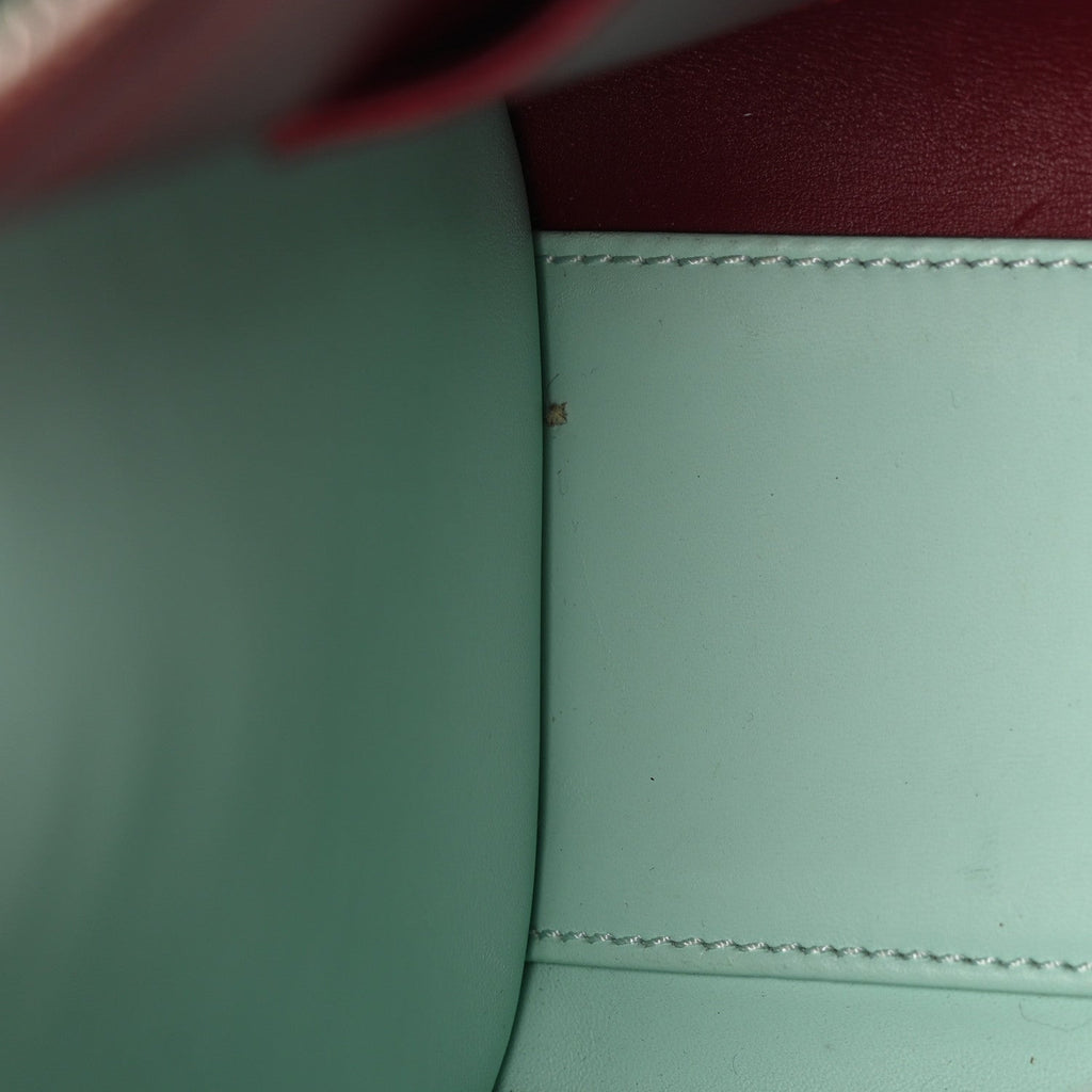 Calfskin City Steamer Mini Gris Burgundy Light Green