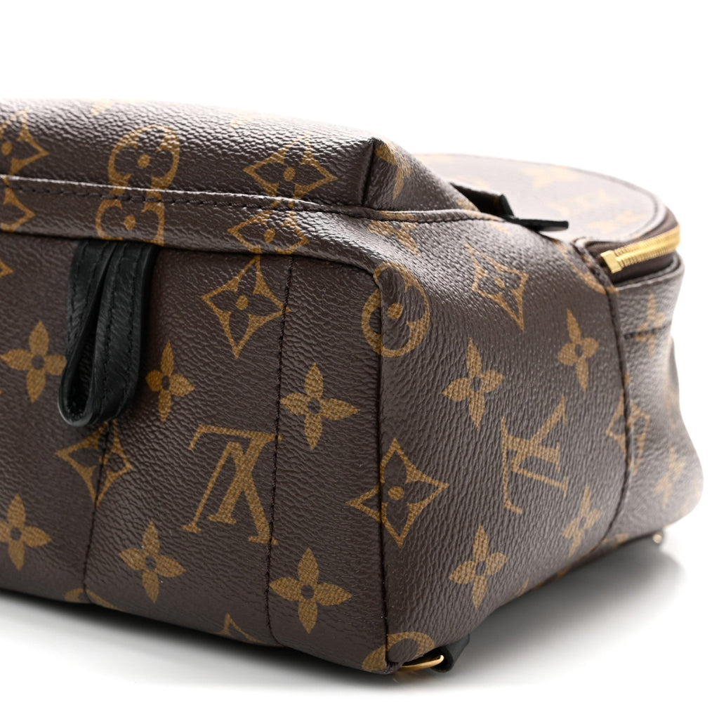 Monogram Palm Springs Backpack Mini