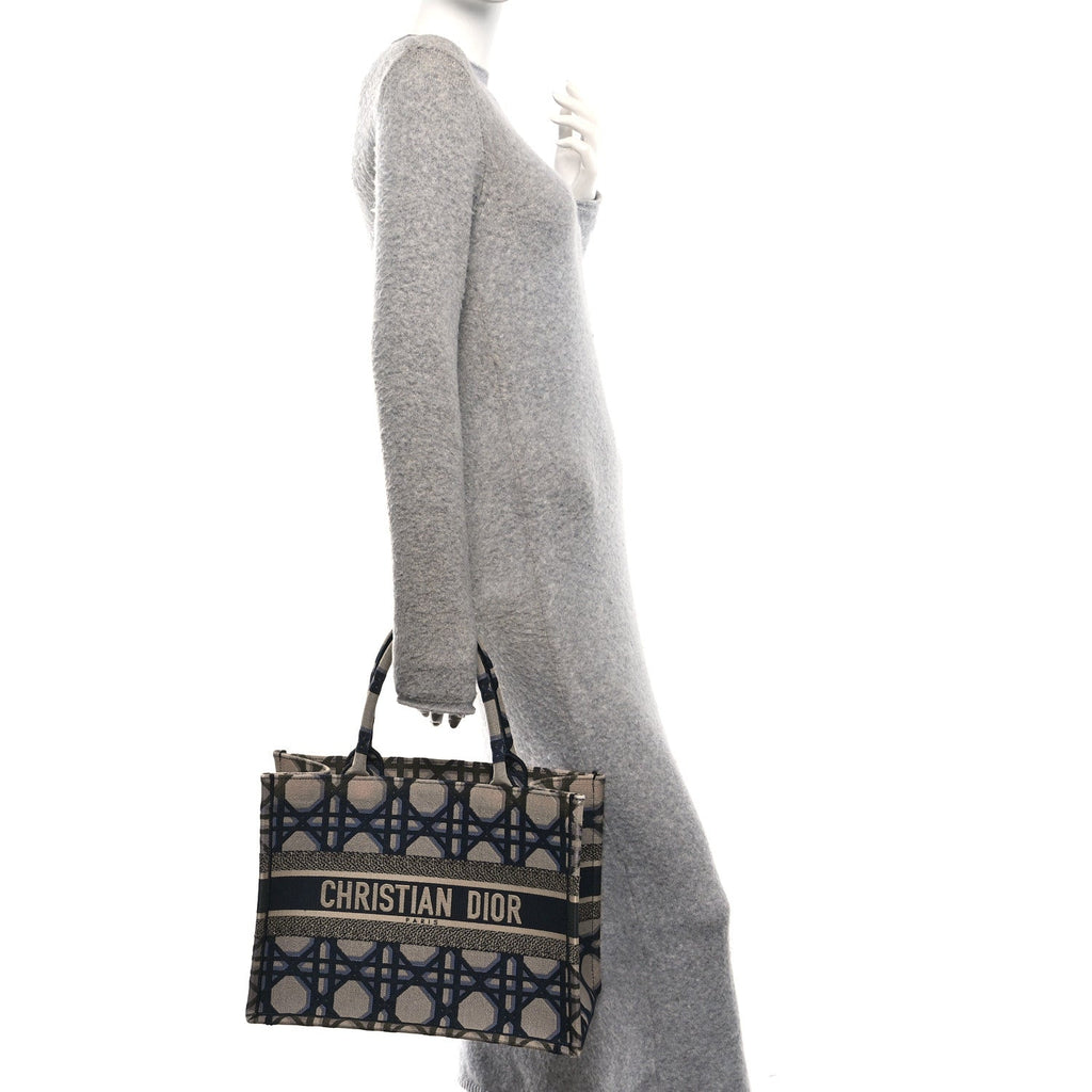 Canvas Macrocannage Embroidered Medium Book Tote Beige Blue