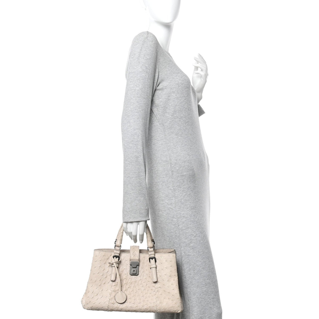 Ostrich Small Roma Tote Limestone