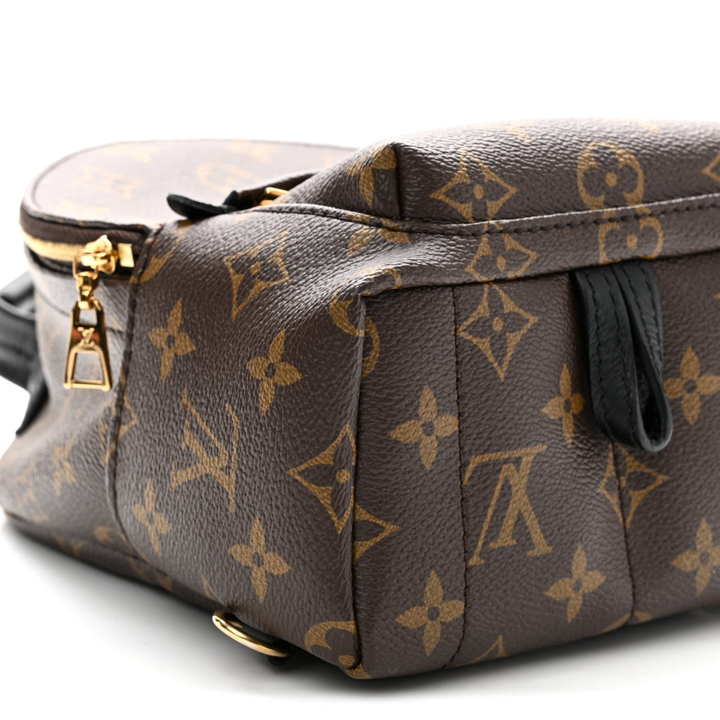 Monogram Palm Springs Backpack Mini