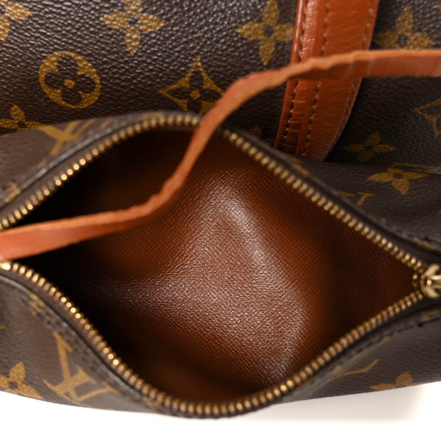 Monogram Papillon 30 with Companion